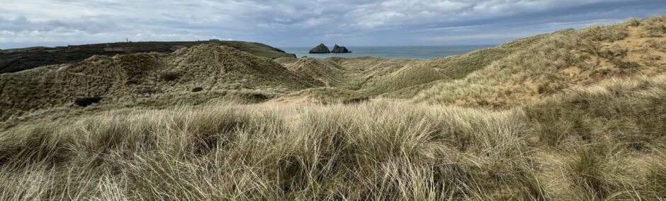 MCC South West Peninsula Group